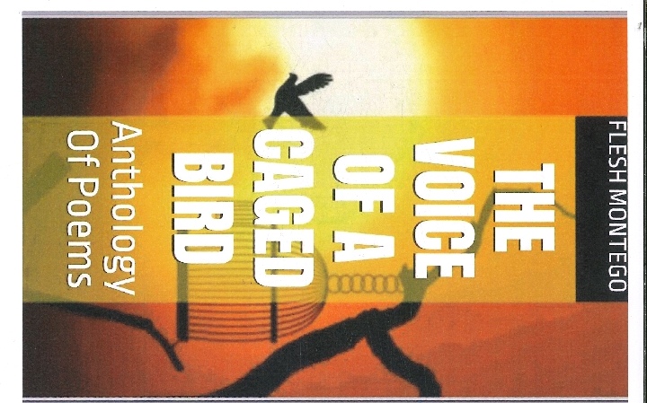 The Voice Of A Caged Bird 